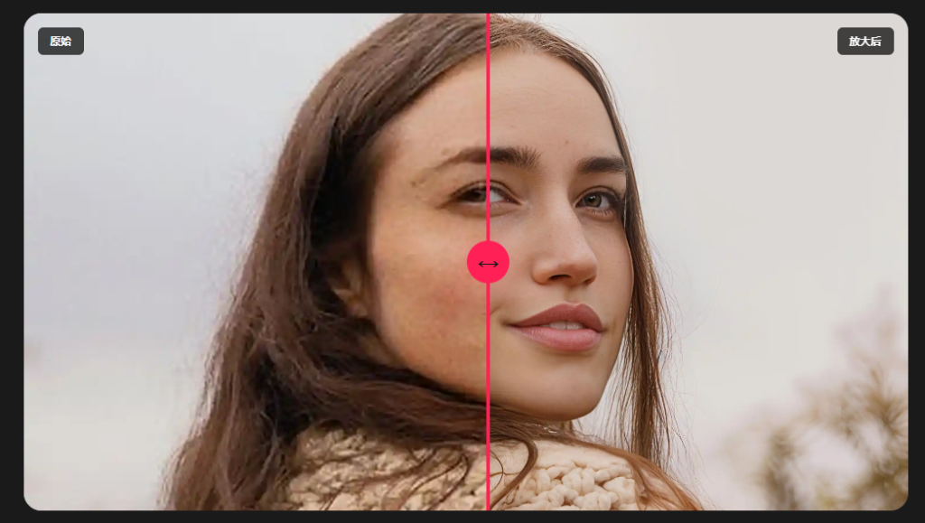 Topaz Gigapixel Pro 1.1.1（含模型34G）