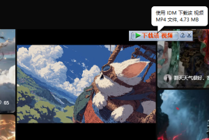 IDM下载器（PC+APP+浏览器插件）