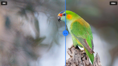 【Topaz Video Pro 1.3.1 】最新汉化版 (33G模型包)