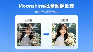 Moonshine-Image 视频和批量图片去水印更新V1.1.0正式版