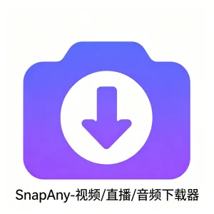 SnapAny – 视频/直播/音频下载器